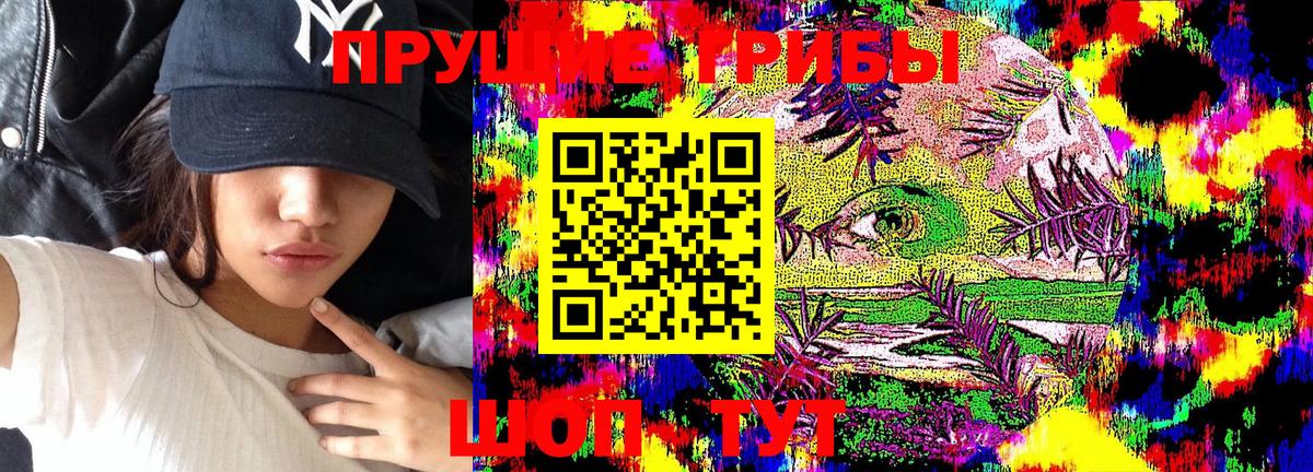 Чусовой  Псилоцибиновые грибы Cubensis  Вход с VPN 